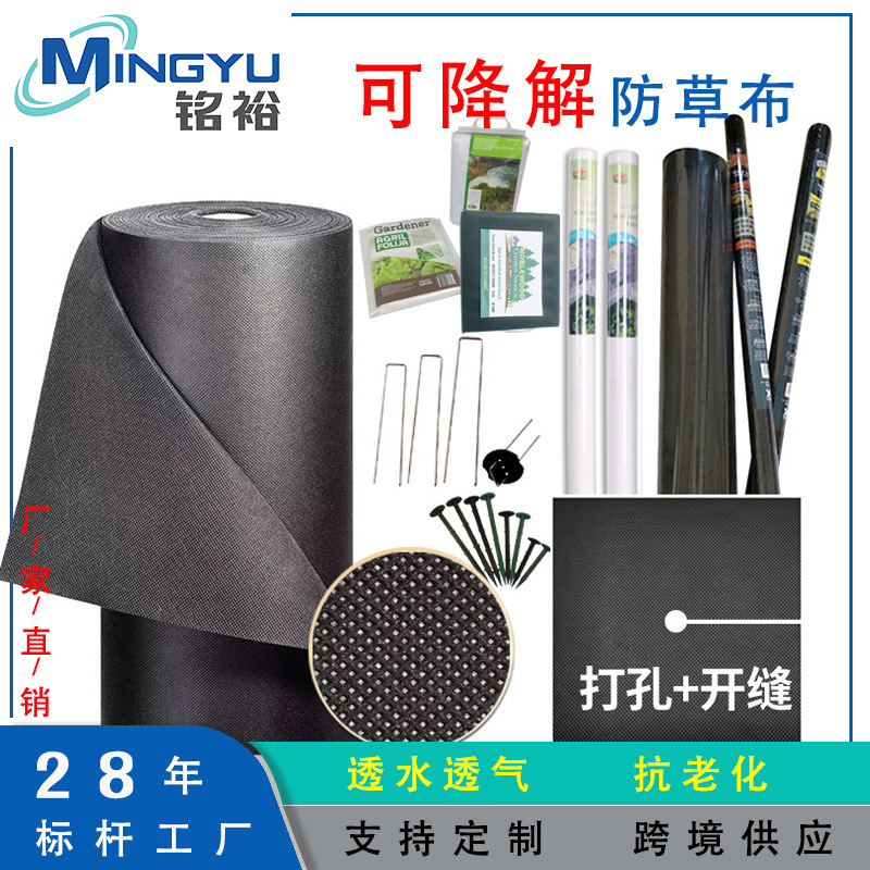 Pp Grass-Proof Cloth Weed-Proof Cloth Wholesale Cross-Border Greenhouse Agricultural Black Mulch Fruit Tree Cloth Sheet Gardening Grass Cloth