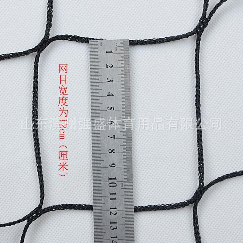 Picture of Qiangsheng volleyball net outdoor portable PE knotless polyethylene bold standard volleyball net Air volleyball net sand