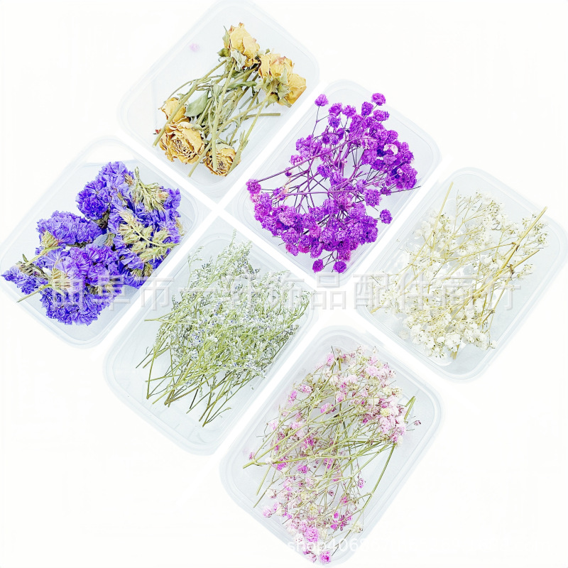 Picture of Dried Flower DIY Material Boxed Real Flower Air-Dried Forget-Me-Not Rose Lover Grass Gypsophila Decorative Flower Material Handmade