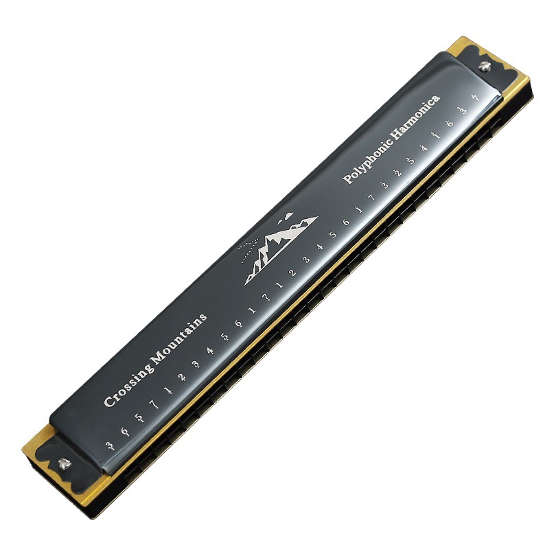 Swan harmonica 24-hole tremolo 28 stress C tone beginner children Primary School students professional performance-level musical instrument boys