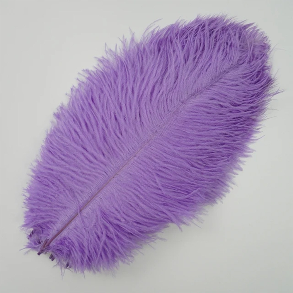Picture of 10-15cm ostrich hair source factory bouquet wedding decoration feather wall handmade DIY crafts stage clothing