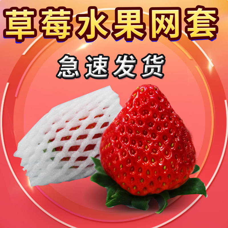 Fruit Net Cover Shockproof Packaging Pearl Cotton Orange Strawberry Net Cover Net Bag Loquat Foam Net Bag Foam Net Cover