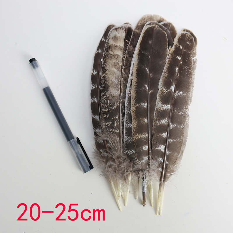 Picture of Wholesale natural striped flower chicken nest feather feather feather DIY craft jewelry decoration handmade accessories material turkey feather