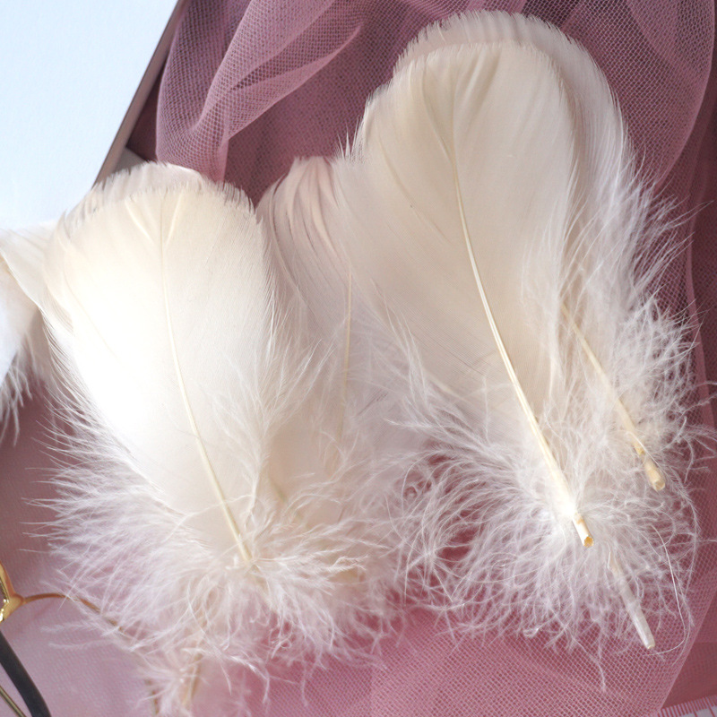 Picture of Color feather DIY floating dyeing goose feather dream catcher wave ball gift box filling decorative materials wholesale