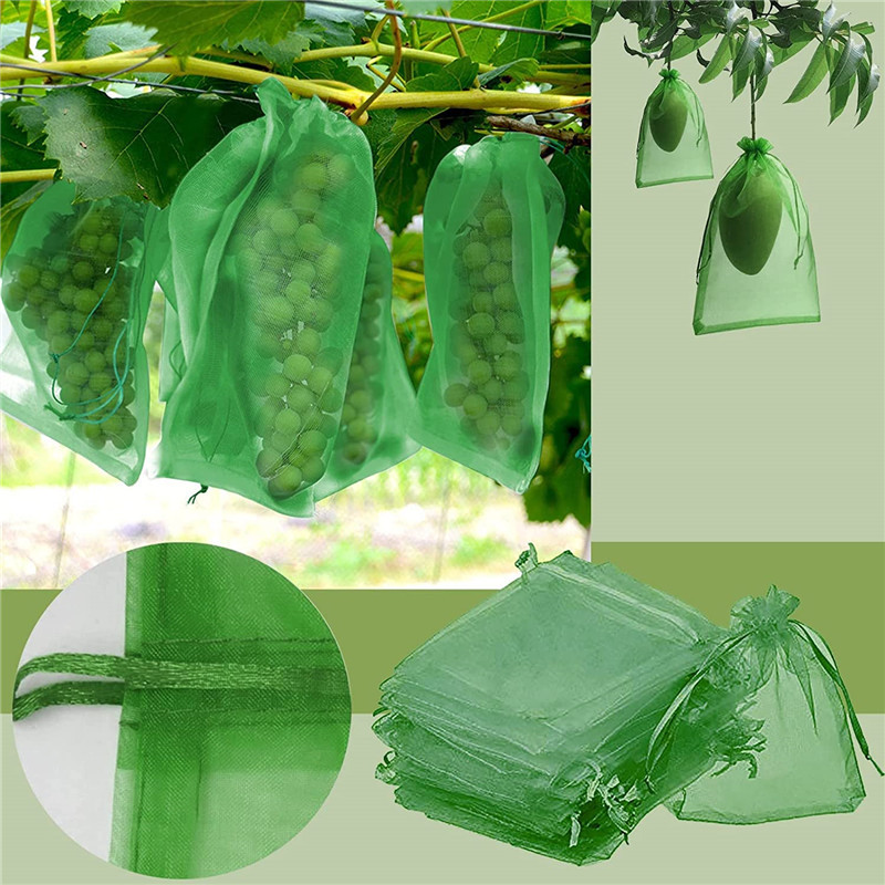 Picture of Wholesale Fruit Bagging, Special Bagging for Breeding Strawberries and Peaches, Gardening Orchard Bird-Proof Nylon Insect-Proof Mesh Bag
