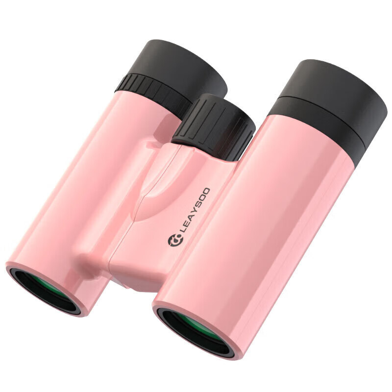 Lei Long Mini HD High Times Fashion Portable Binoculars Outdoor Concert Ball Tour 10x22