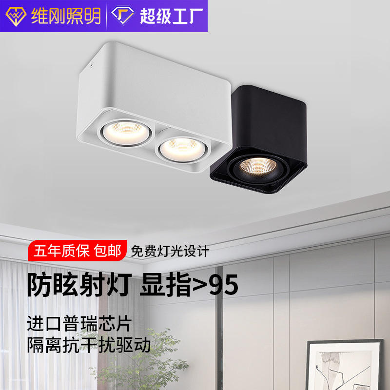 Surface-Mounted Spotlight Led Ceiling Household Cob Anti-Glare Led Square Double-Headed Spotlight Bean Gall Lamp Living Room Ceiling