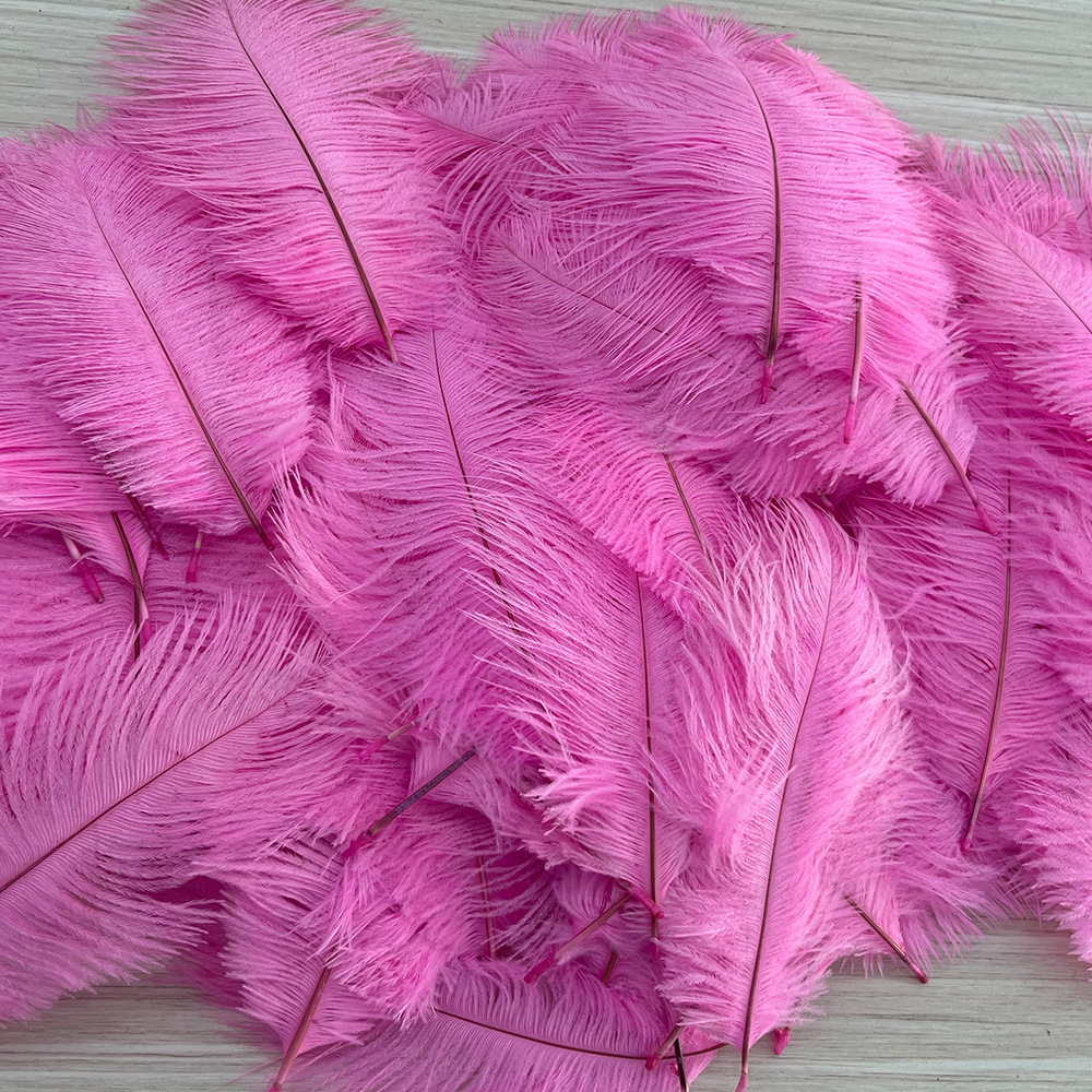 Pink Ostrich Hair 15-35cm Net Red Wall Color Feather Wedding Wedding Stage Decorative Lamp Table Ornaments DIY