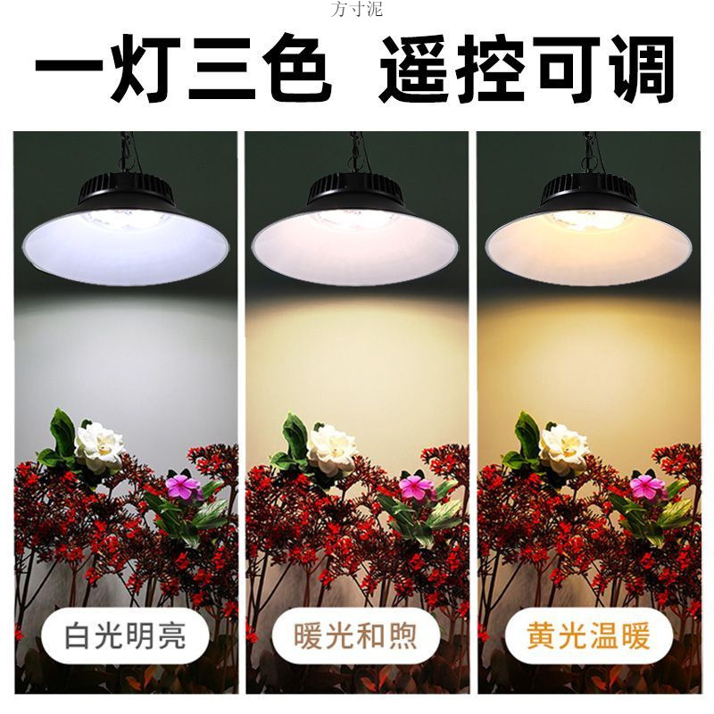 Picture of Solar Light Outdoor Chandelier Garden Light Household Super Bright Outdoor Waterproof Garden Balcony Door Lighting Wall Lamp