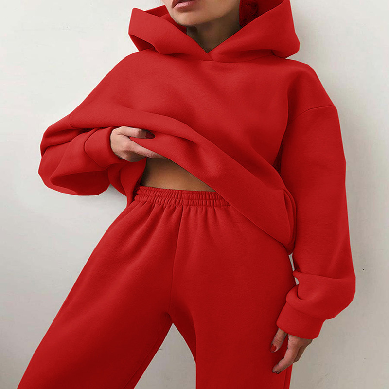 2021 Cross-border Fashion Casual Multi-color Hooded Sweater Long-sleeved Solid Color Fleece Two-piece Suit for Women