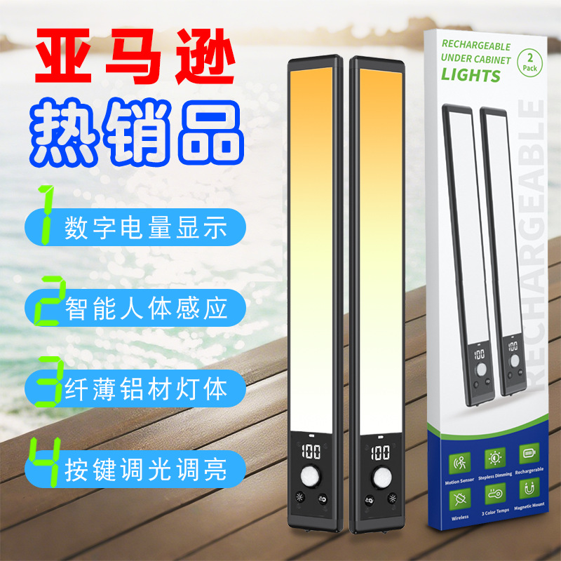 Cross-Border Led Motion Sensor Cabinet Light USB Rechargeable Night Light Bedroom Desk Lamp Outdoor Light Strip No-Drill Light Strip