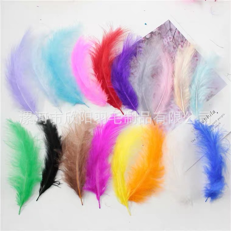 Picture of turkey feather DIY dream catcher decorative pointed tail feather flower tree wreath wave ball raw material funny cat stick chicken feather