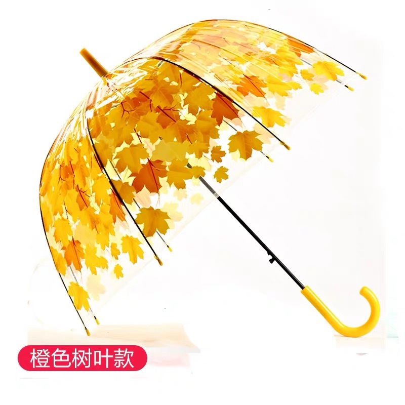 Picture of Korean Style Building Arched Apollo Princess Transparent Umbrella Umbrella Semi-automatic Creative Curved Hook Straight Long Handle Umbrella