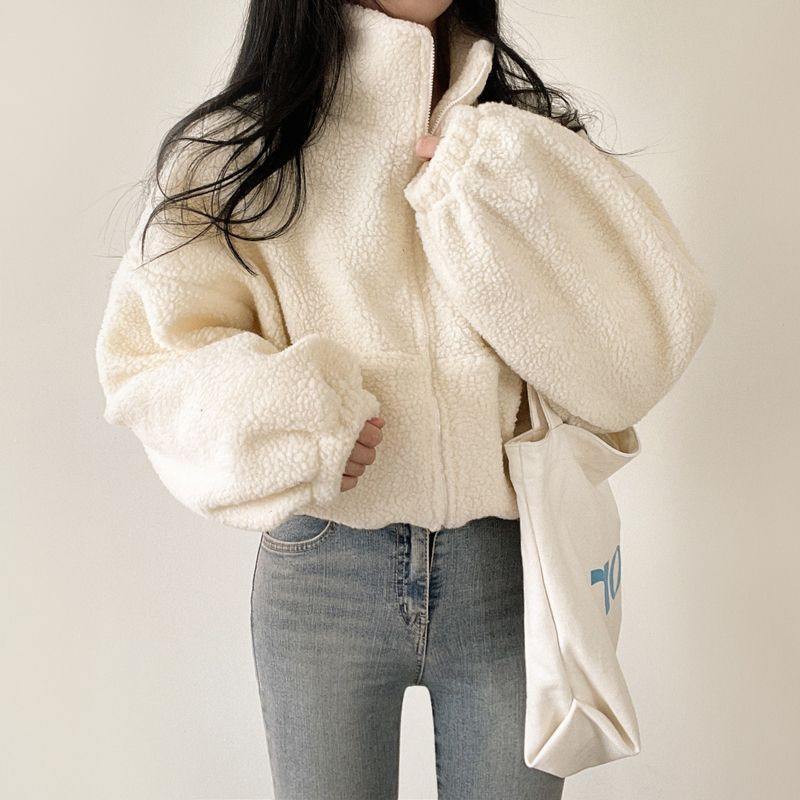 Picture of Korean Style Short Vertical Collar Warm Imitation Lamb Velvet Jacket Women's Autumn and Winter New Loose Zipper Cardigan Top