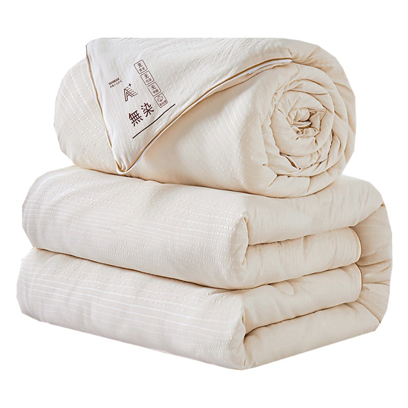 Class a Undyed Soybean Quilt Thickeneded Winter Quilt Soy Fiber Mother-In-Law Quilt Core Spring & Fall Quilt Student Gift Quilt Wholesale