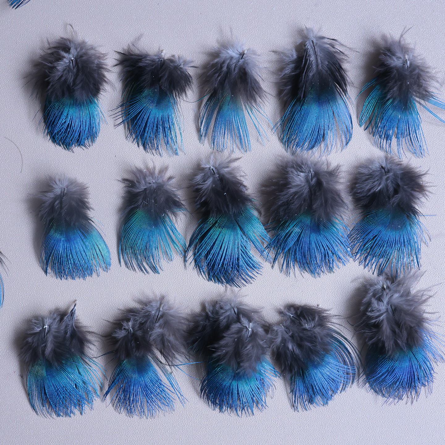 Picture of Wholesale 3-4cm Natural Peacock Neck Blue Flakes Dotting DIY Material Feather Decoration Accessories Small Feathers
