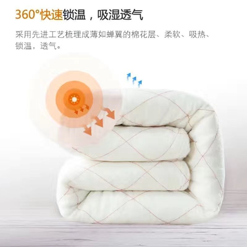 Picture of Single quilt quilt double bed quilt core dormitory bedding winter quilt winter wholesale hot