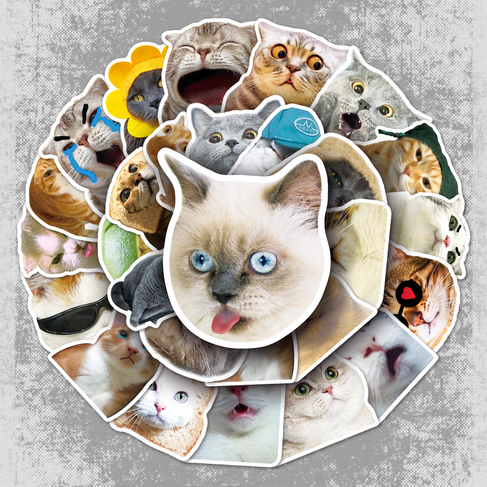 50 Internet Celebrity Cat Expression Pack Graffiti Stickers Personalized Cross-Border Cute DIY Water Cup Luggage Stickers Waterproof