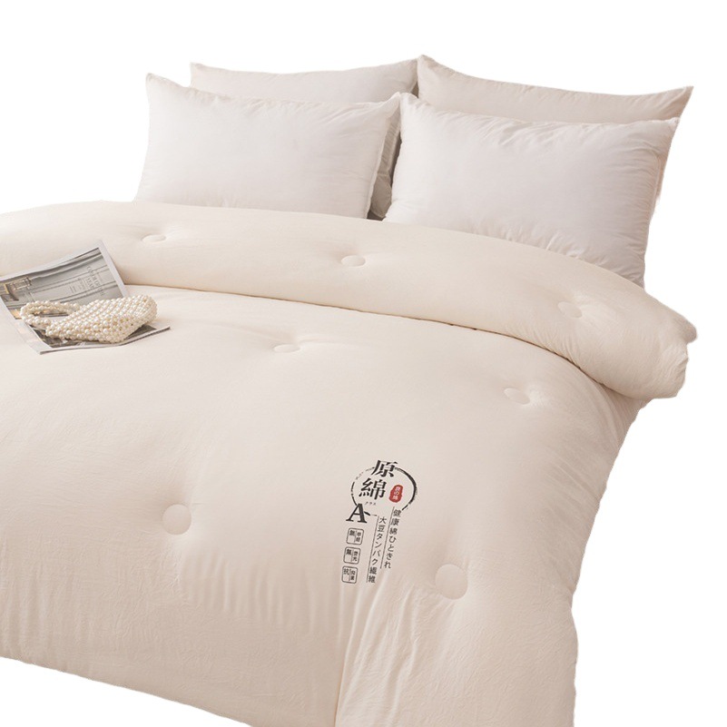 Thickened soybean quilt class A antibacterial spring and autumn cotton quilt core student dormitory winter thickened warm single double four seasons