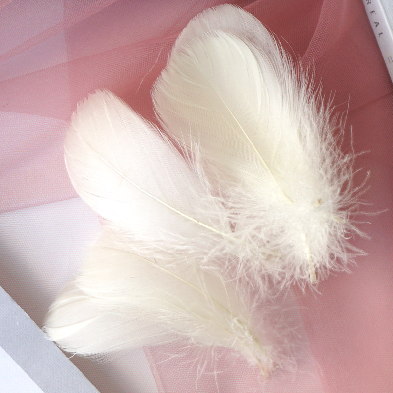 Picture of Color feather DIY floating dyeing goose feather dream catcher wave ball gift box filling decorative materials wholesale