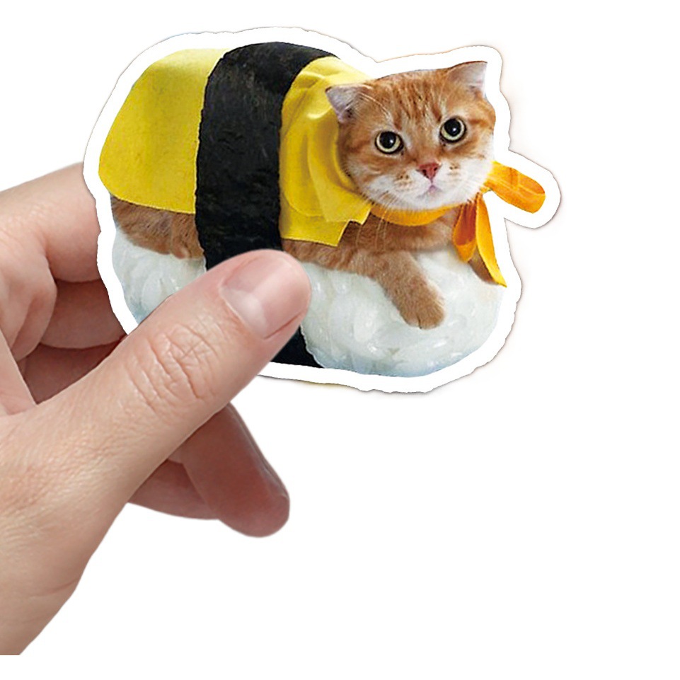 50 net red cat expression bag graffiti personality cross-border explosions best selling DIY mobile phone luggage sticker waterproof