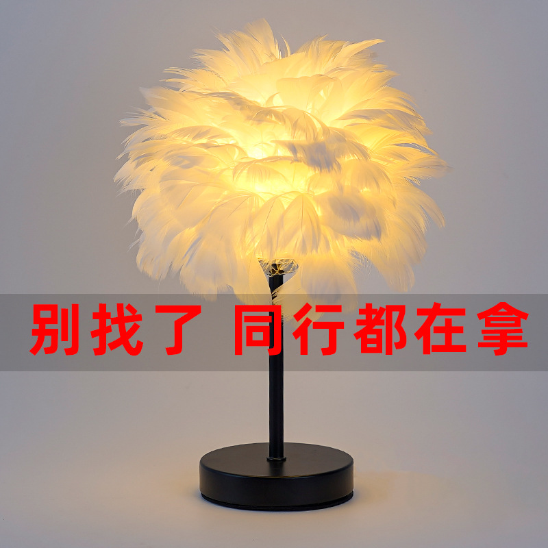 Nordic Decorative Feather Table Lamp Bedroom Bedside Lamp High-Level Homestay Creative Ins Girl's Heart Feather Lamp Light Luxury