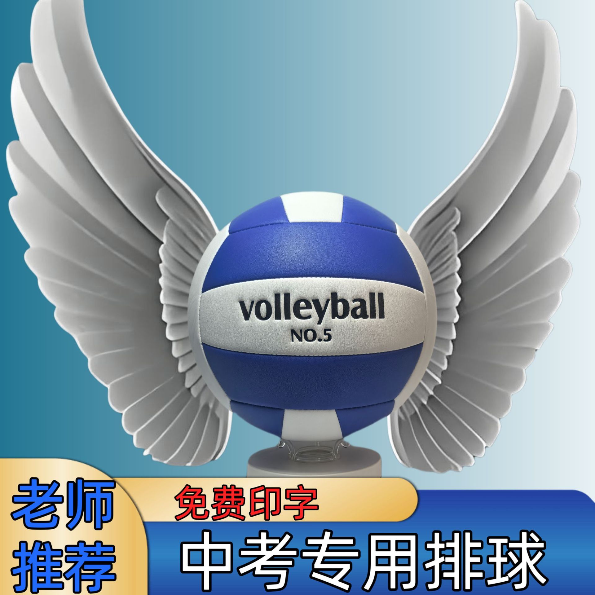 Picture of Gao Yanyi No.5 Volleyball Senior High School Entrance Examination Special Standard Match Training Ball Junior High School Students Physical Education Examination Soft Hard Volleyball