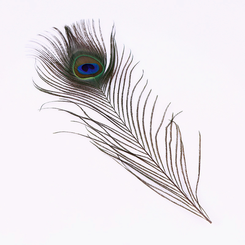 Manufacturers supply high quality peacock feather performance accessories home wedding decoration materials natural peacock feather
