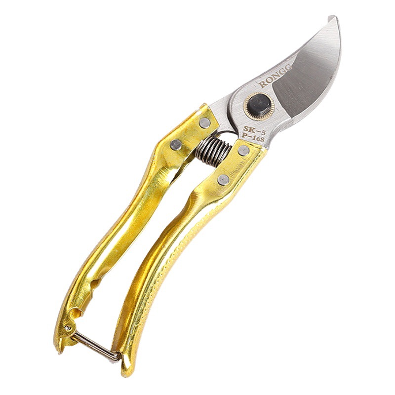 Manufacturer Wholesale Garden Branch Shears, Fruit Branch Shears, Gardening Flower Branch Shears, Pruning Shears in Various Specifications, Specialized for Fruit Trees