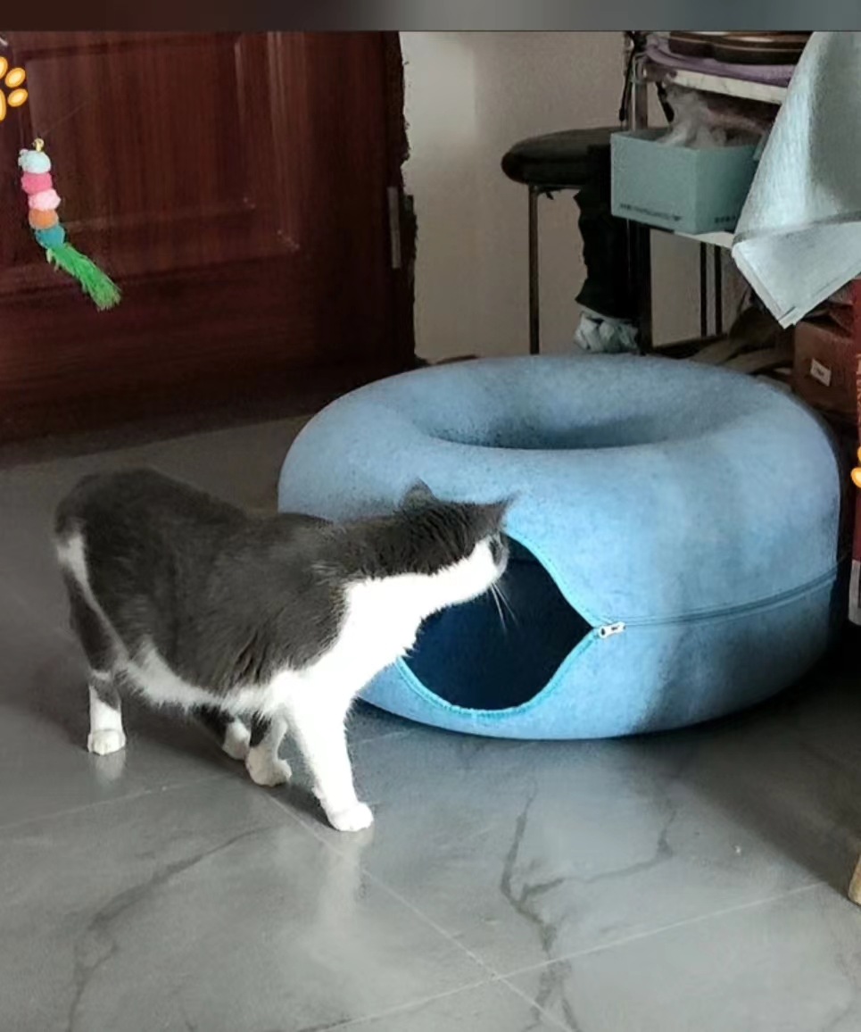 Picture of Double-layer net red donut pet nest four seasons universal detachable play and sleep integrated semi-enclosed felt cat nest