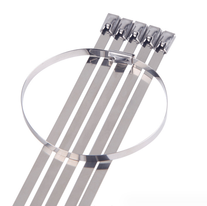 Picture of Stainless steel cable tie 304 material in stock wholesale widened thickened plastic spraying steel belt all metal cable tie strip cable tie