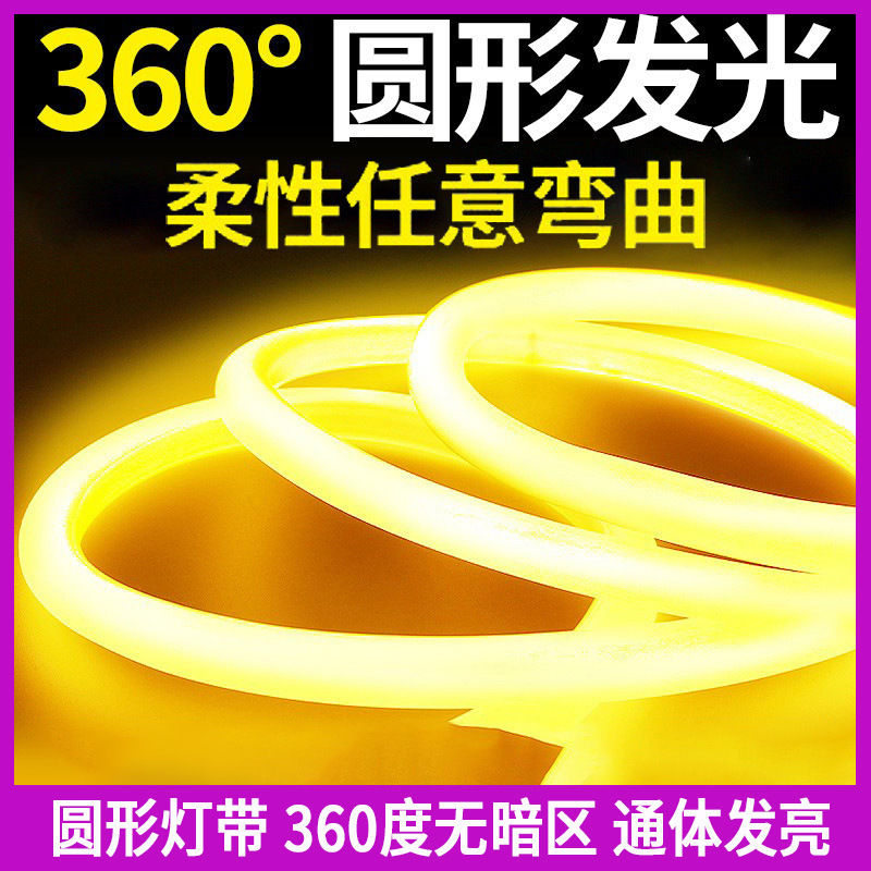 12v led round 360 degree luminous flexible neon light bright outdoor lighting decoration waterproof 220v hose light