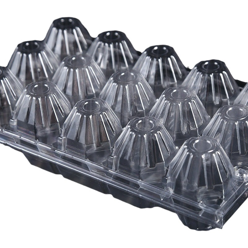 In stock thick soil egg box egg tray blister box 10 transparent duck egg pet plastic box wholesale