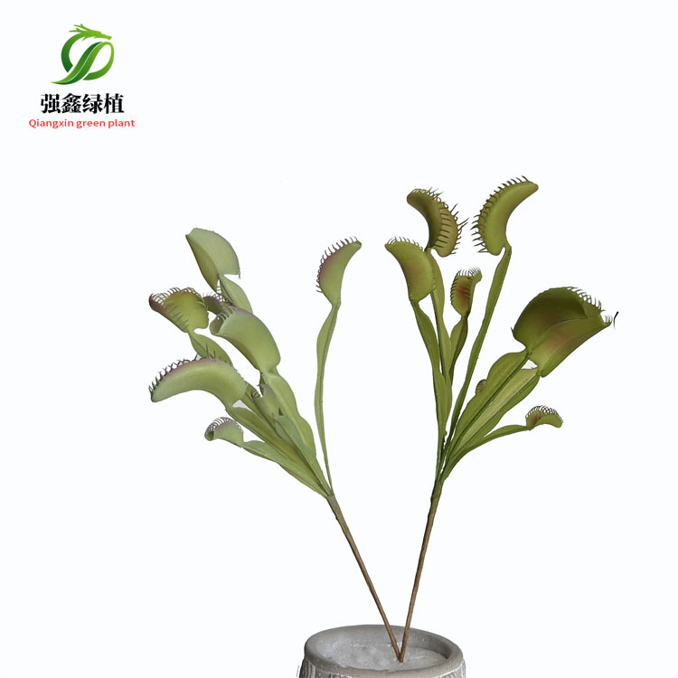 Picture of Artificial succulent Cordyceps simulation fly-eating grass people stay small bonsai decorative AliExpress Amazon supply