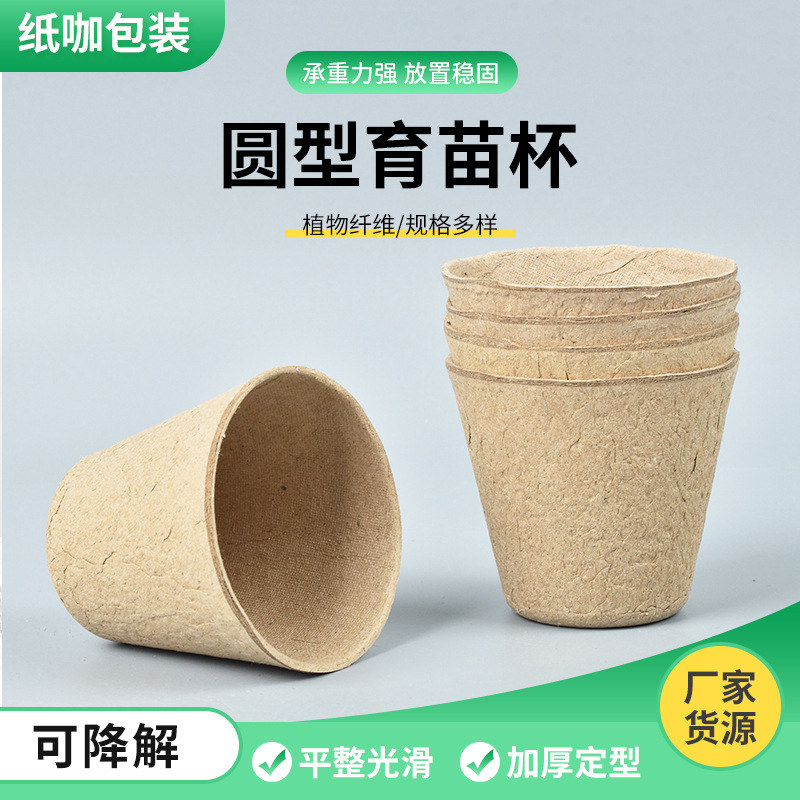 Round Pulp Seedling Cups for Succulent Leaf Cuttings, Seedlings, and Phalaenopsis Orchids, Disposable and Biodegradable, Pack of 20 Paper Trays