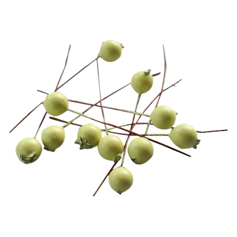 Simulation plant crafts creative eternal flower simulation blueberry Berry caryopsis home decoration wedding supplies