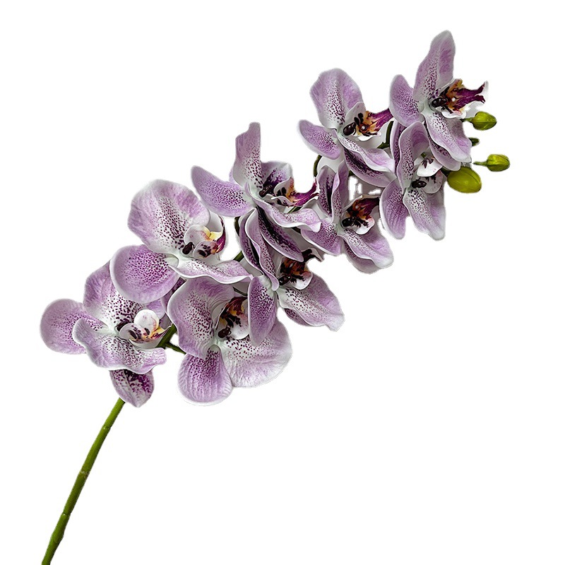 Picture of New hand-feeling film phalaenopsis 9-head big orchid macaron phalaenopsis multi-color beautiful bright drape