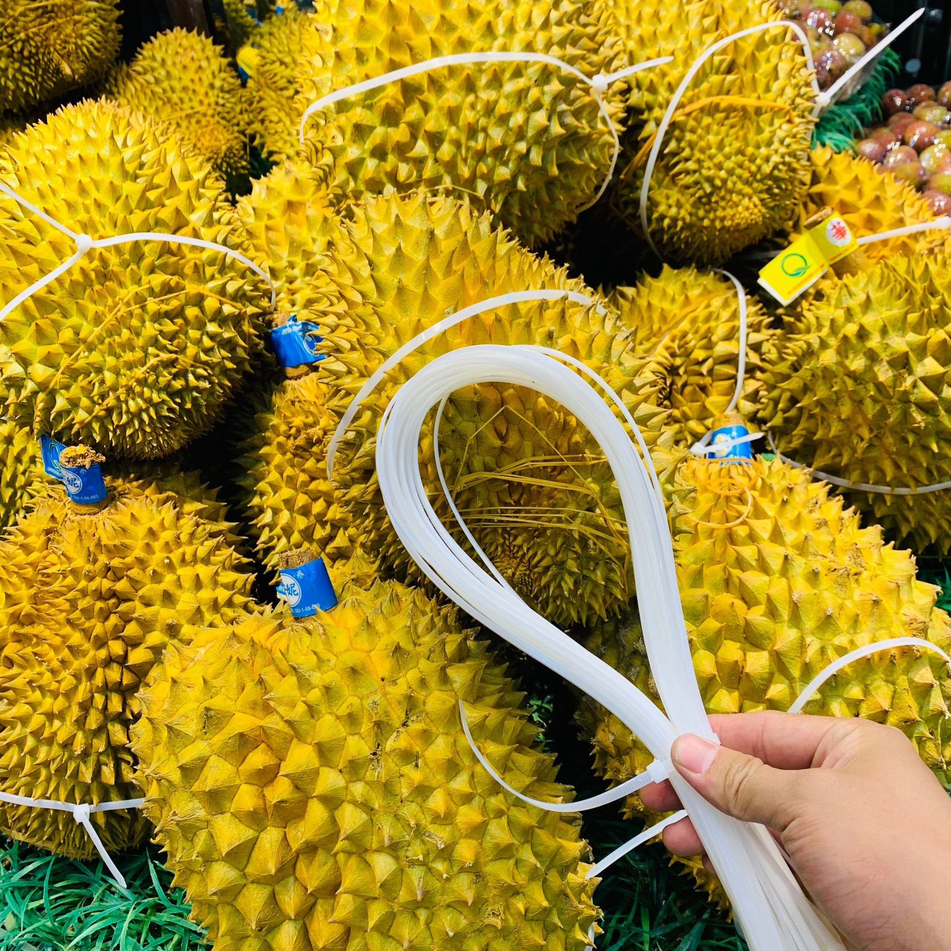 Tie durian self-locking cable tie 5*600mm/width 4.8*600