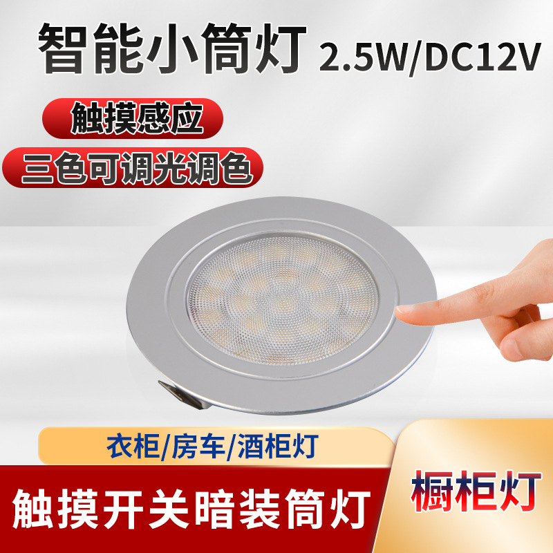 Wholesale Led Dual Color Temperature Cabinet Light Touch Dimming Color Rv Light Wardrobe Light Embedded 12V Small Downlight