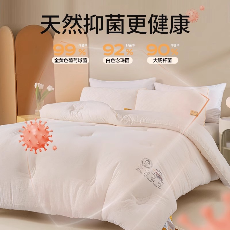 Picture of Class A Li Guanqi Soybean Quilt Thickened Warm Winter Quilt Core Spring and Autumn Quilt Four Seasons Universal Summer Quilt