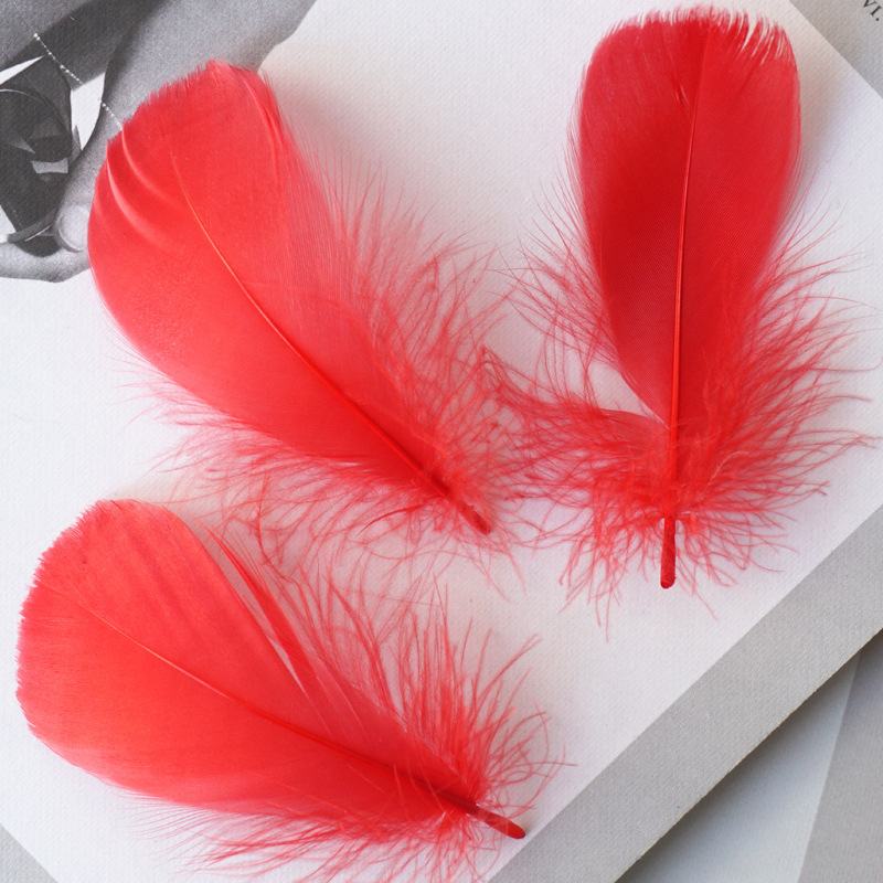 Picture of Color feather DIY floating dyeing goose feather dream catcher wave ball gift box filling decorative materials wholesale