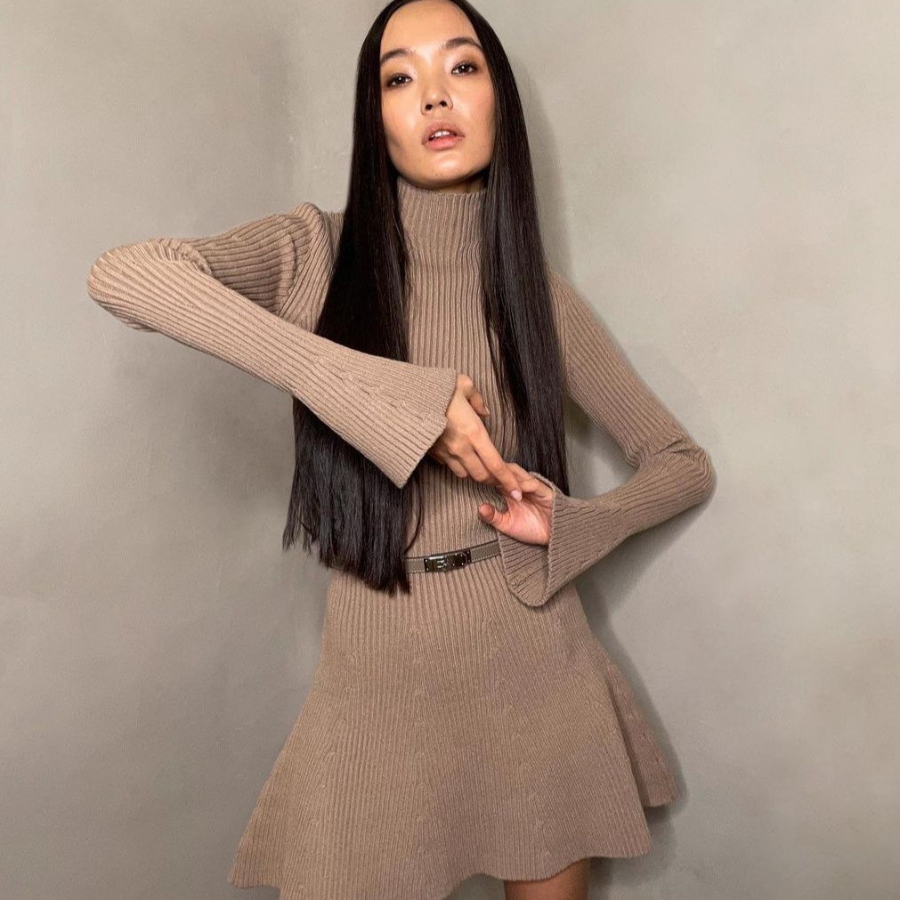 Picture of European and American Export 2024 Autumn and Winter Thick Turtleneck Sweater Knitted Petite Pullover Women's Sweater Dress Black Thick Style