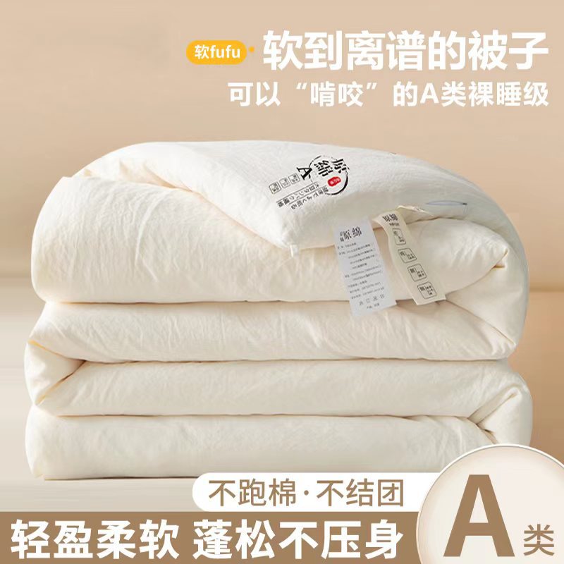Class A raw cotton soybean quilt thickened winter quilt soybean fiber quilt core spring and autumn quilt student quilt gift quilt wholesale