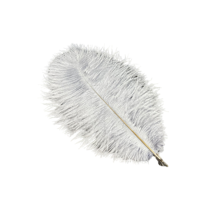 Picture of White ostrich feather 25-30cm natural ostrich feather dyed feather wedding decoration lamp ornament feather