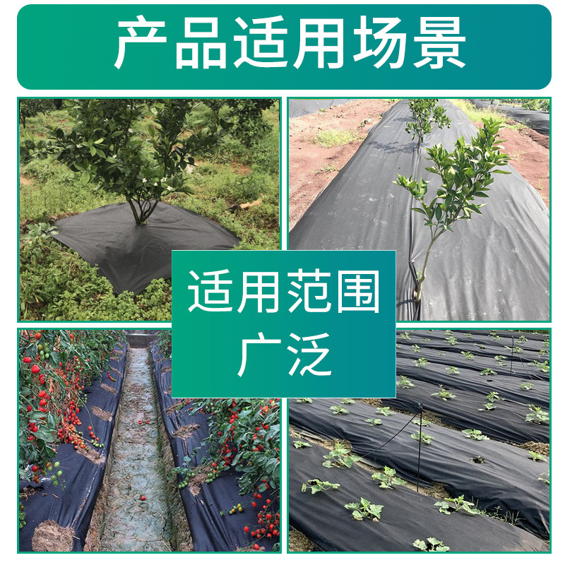 Picture of in stock weeding cloth anti-grass cloth wholesale new material whole roll mulched weeding cloth manufacturers new black orchard grass covering cloth