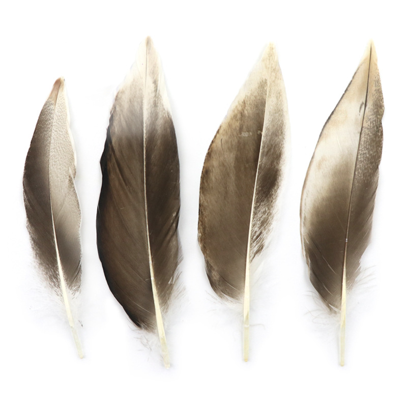 Picture of natural wild duck black pointed wild bird feather wild duck feather diy corrugated clothing accessories small feather