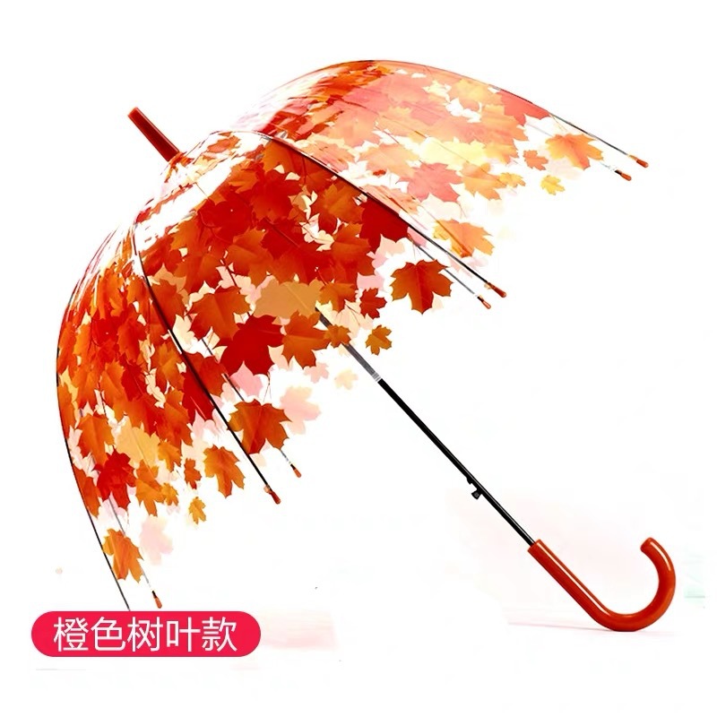 Picture of Korean Style Building Arched Apollo Princess Transparent Umbrella Umbrella Semi-automatic Creative Curved Hook Straight Long Handle Umbrella