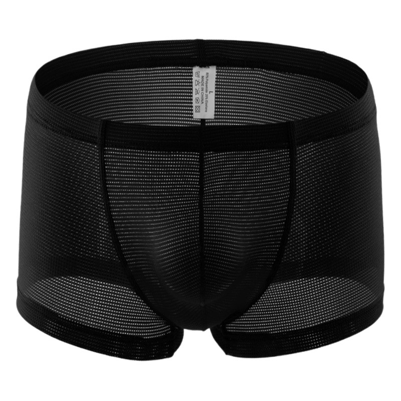 Summer Men's Underwear Sexy Fine Mesh Comfortable Atmospheric Low Waist Breathable Boxers Men's High-end Youth C2-11