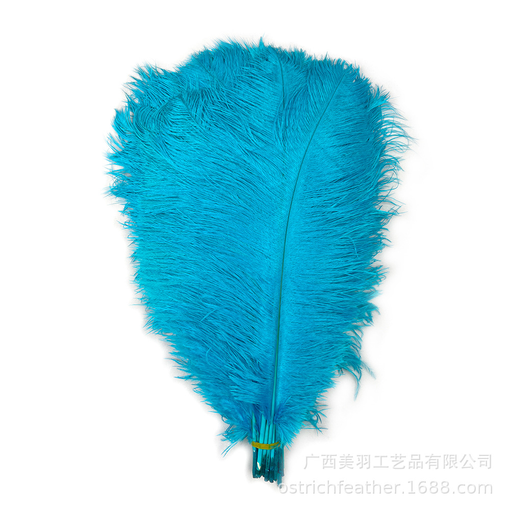 Picture of 35-40cm Ostrich Feather Wholesale Manufacturer Spot Wedding Decoration Feather DIY Crafts Stage Clothing Ostrich Feather