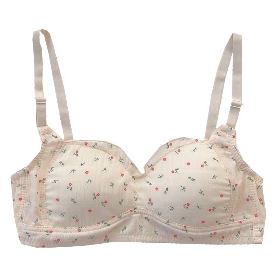 Fenzixia Intimates Bra Push-Up Bra Fairy Girl Lace Anti-Exposure Student Jungle Forest Small Breasts